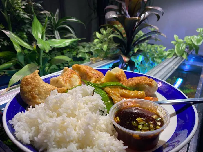 Five Star China Garden 5