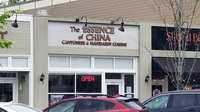 The Essence of China 1