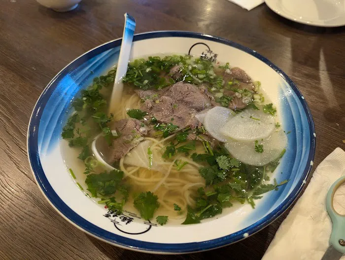 Noodle Dynasty 4