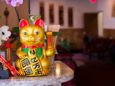New Lantern Chinese Restaurant 0
