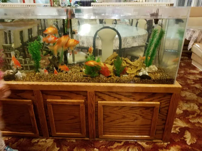 Eden Gate Chinese Restaurant 3