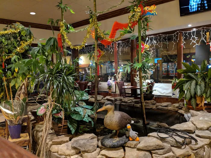 Bamboo Cafe 6