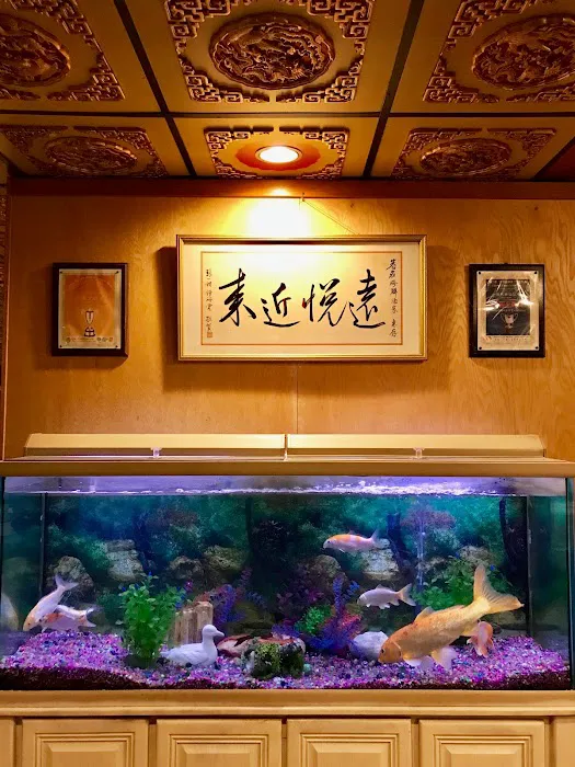 New Tasty Cuisine - 国潮 4