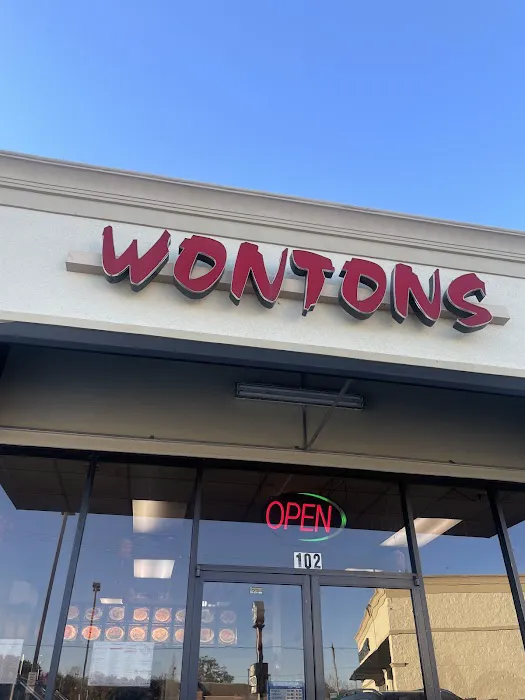 Wontons 4