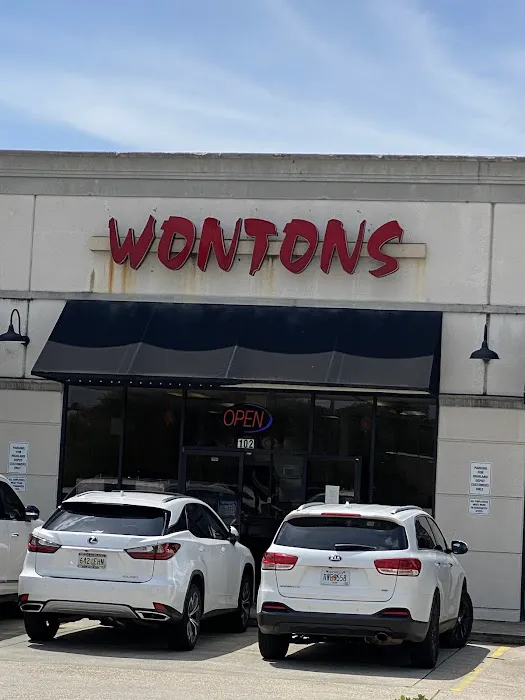 Wontons 9