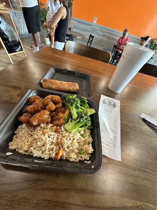 General Tso's Chicken 6