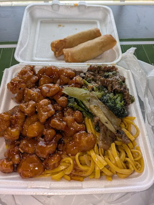 General Tso's Chicken 9