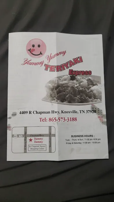 Yummy Yummy Teriyaki Express 9