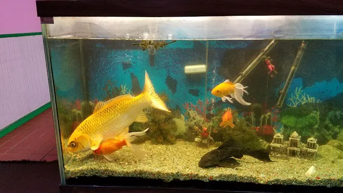 New Happy Garden Chinese Restaurant 2