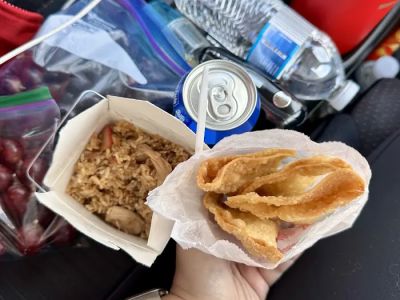 Fried Rice 0