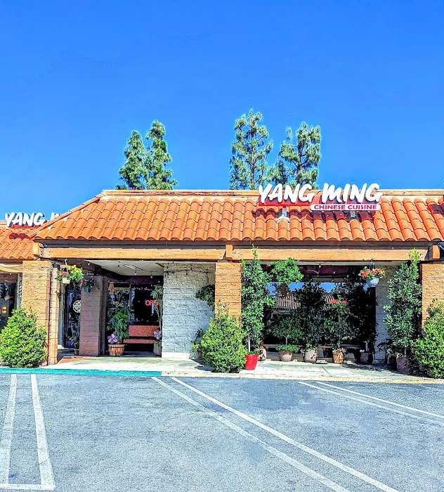 Yang Ming 2