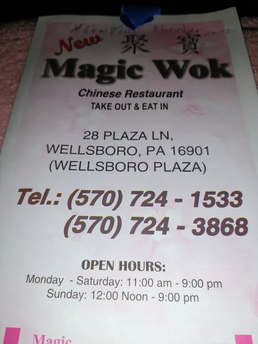 Magic Wok 9