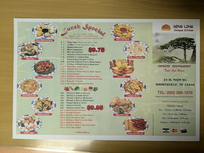 SENG LING Chinese kitchen 7
