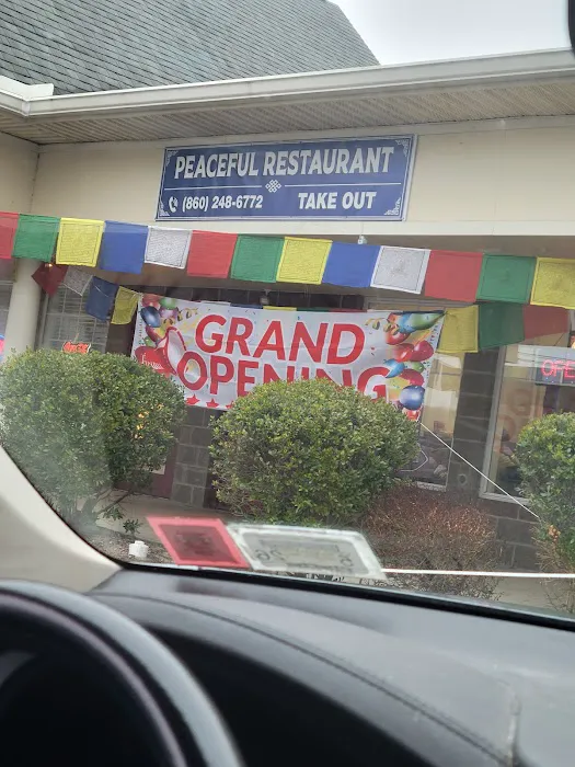 1376 PEACEFUL 4