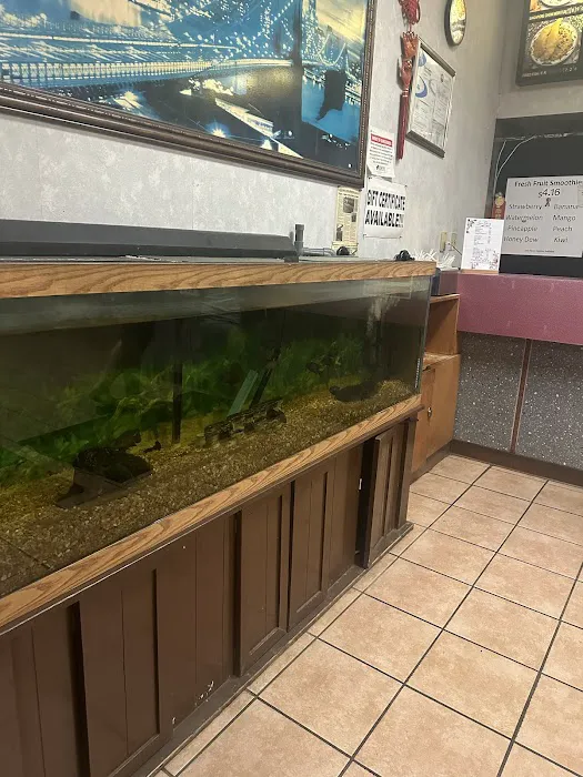 Dynasty Chinese Restaurant 6