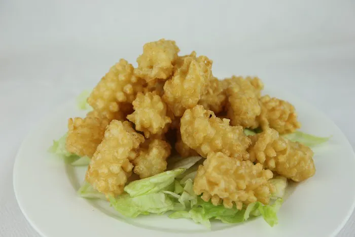 Dragon Star 6