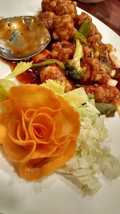 China Rose 9