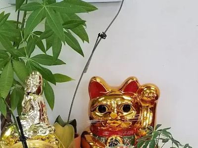 Shang Hai Restaurant 0