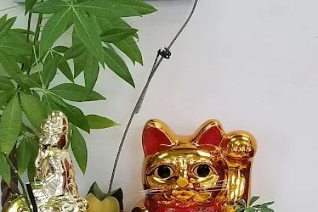 Shang Hai Restaurant