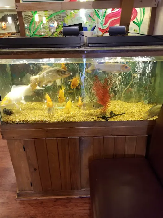 Lucky Inn Chinese Restaurant 3