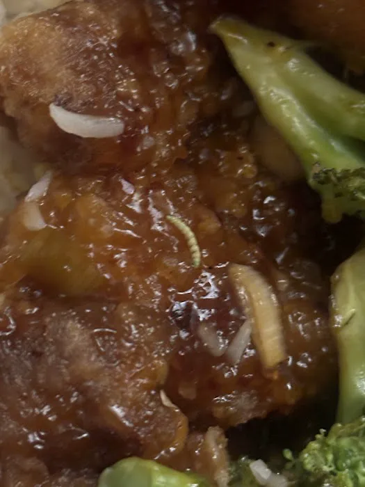 Rising Sun Chinese Restaurant 9