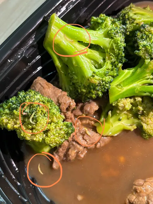 Canton Chinese Restaurant 10
