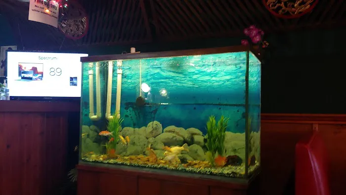 China Gate Restaurant 5