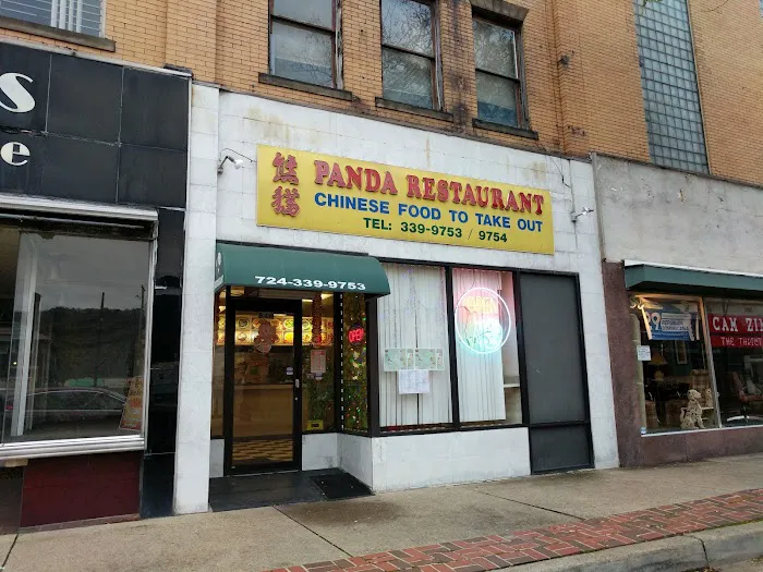 Panda 1