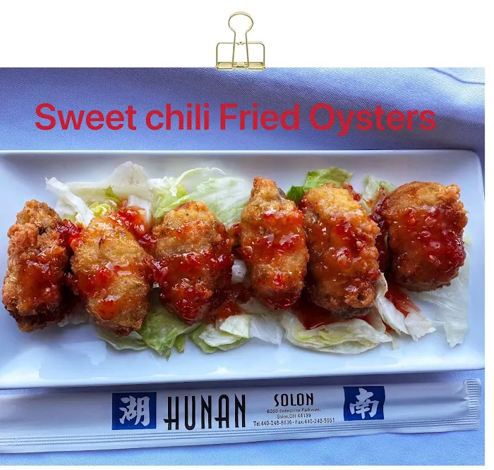 Hunan Solon 1