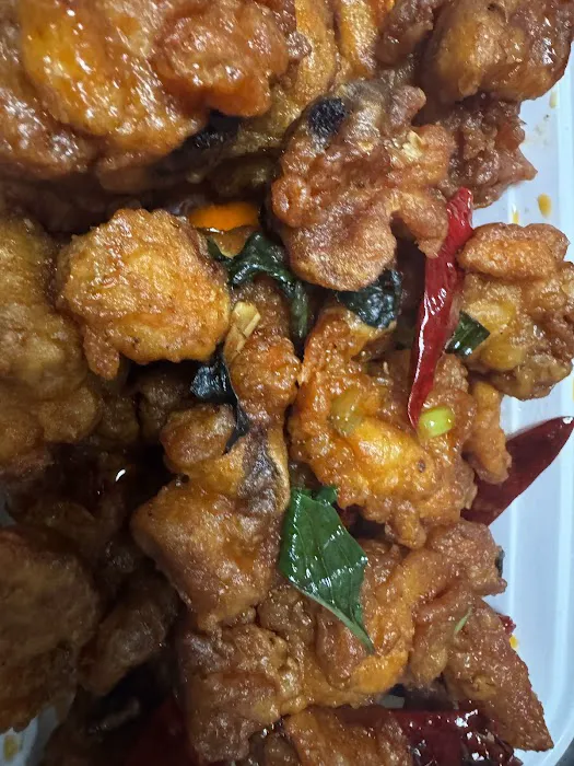 Hunan Solon 5