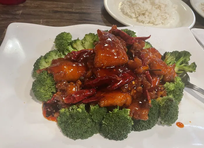 TK WU Ann Arbor 8