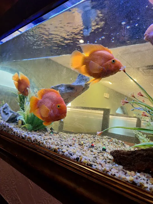 Hong Kong Buffet 2