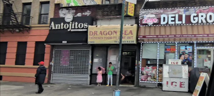 Dragon Sea 6