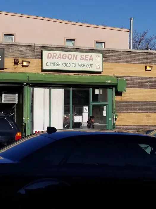 Dragon Sea 4