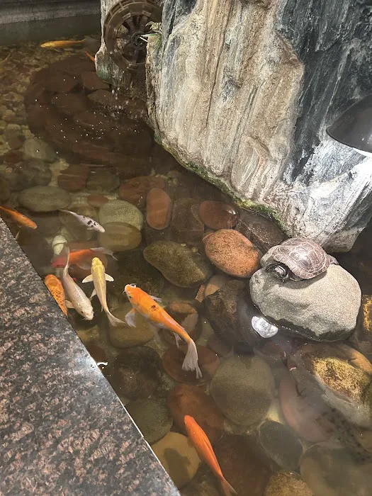 World Buffet 7