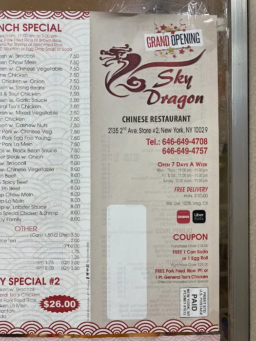Sky Dragon 3