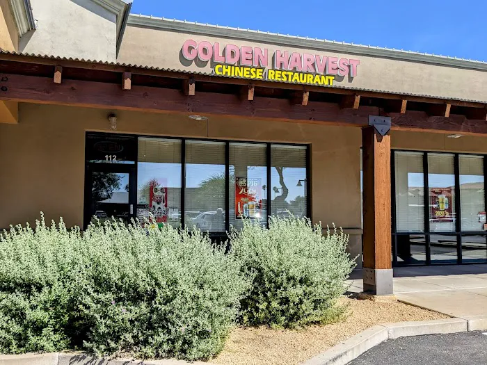 Golden Harvest 8