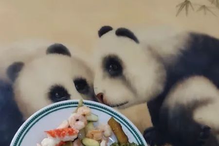 China Buffet