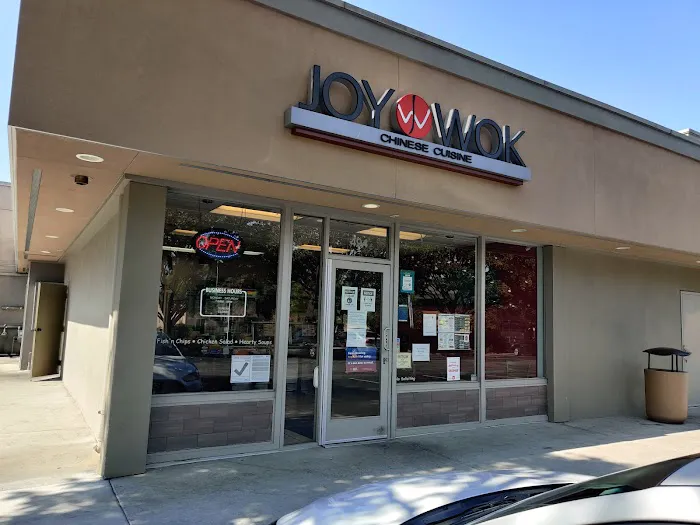 Joy Wok 10