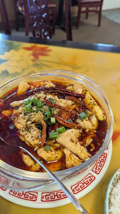 China Rose 8