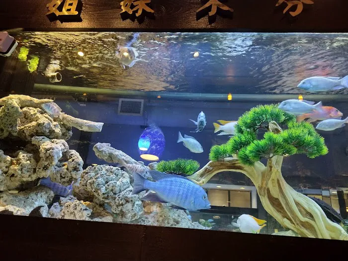 House of Chen 8