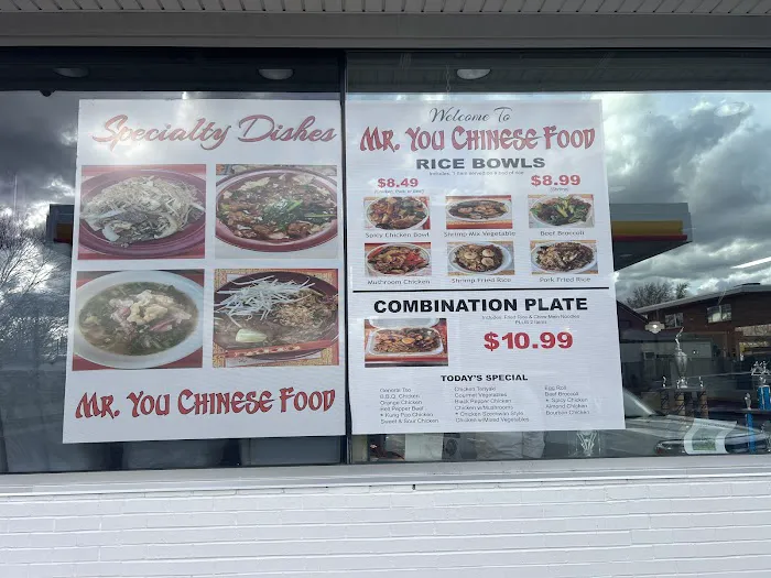 Mr You Chinese Food 9