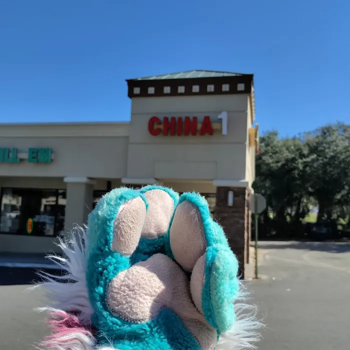 China 1 6