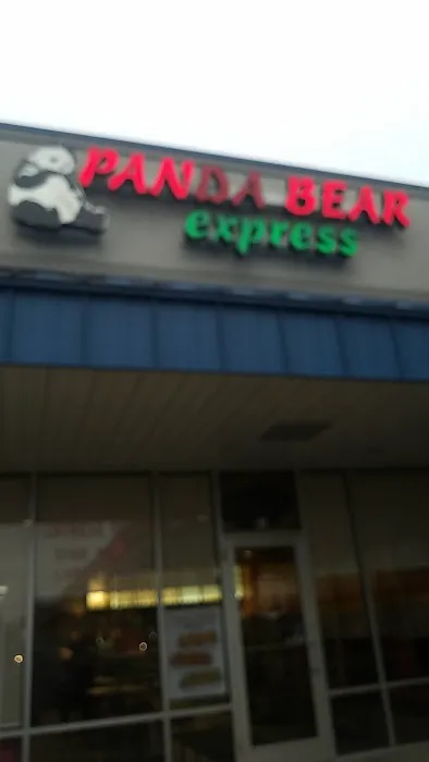 Panda Bear Express 9