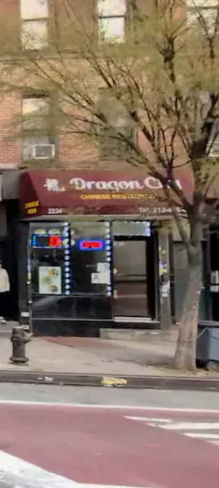 Dragon City 8