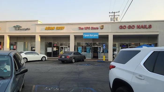 Asian Chef 8