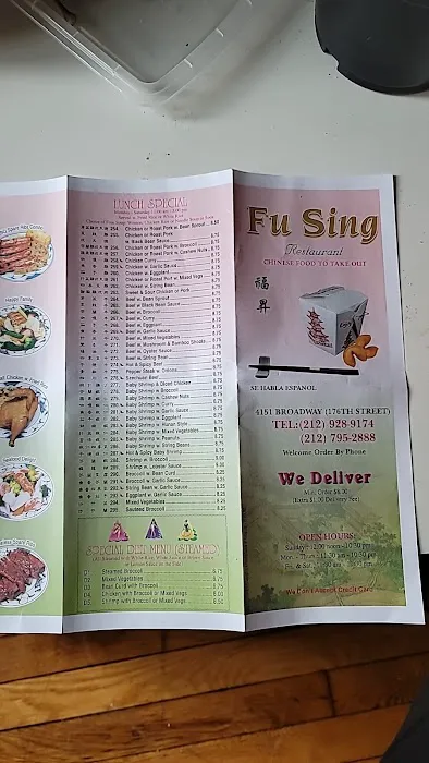 Fu Sing 2