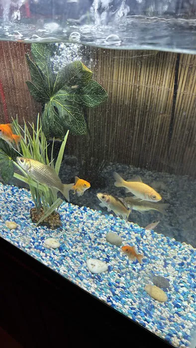 Feng Bistro 3