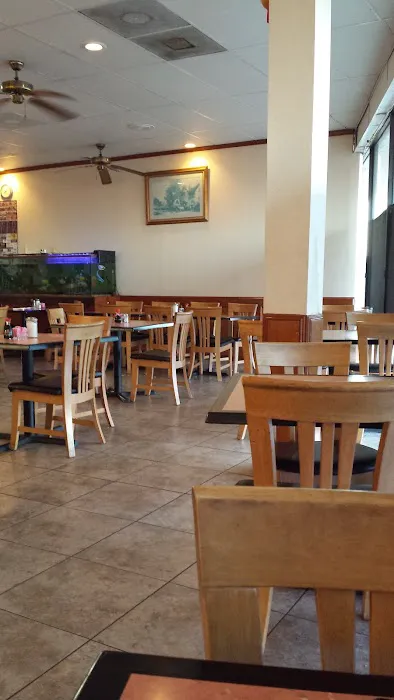Yang's Kitchen Chinese Restaurant 7