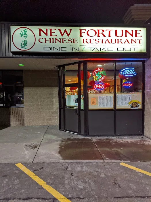 New Fortune 3